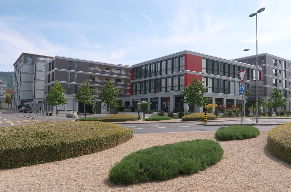 Projekt: Gew.- & Wohnungsbau Lindenmatt in Rotkreuz